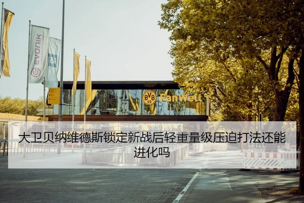 大卫贝纳维德斯锁定新战后轻重量级压迫打法还能进化吗