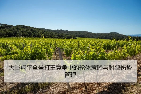 大谷翔平全垒打王竞争中的轮休策略与肘部伤势管理