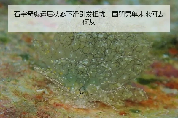 shi-yu-qi-ao-yun-hou-zhuang-tai-xia-hua-yin-fa-dan-you-guo-yu-nan-dan-wei-lai-he-qu-he-cong-2-179.jpg