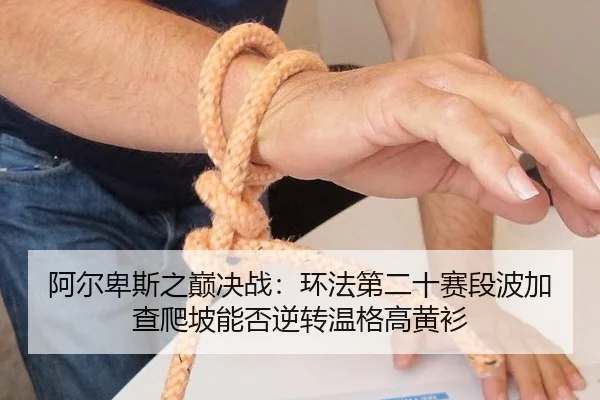 a-er-bei-si-zhi-dian-jue-zhan-huan-fa-di-er-shi-sai-duan-bo-jia-cha-pa-po-neng-fou-ni-zhuan-wen-ge-gao-huang-shan-2-314.jpg
